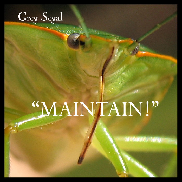 Greg Segal &mdash; Maintain!