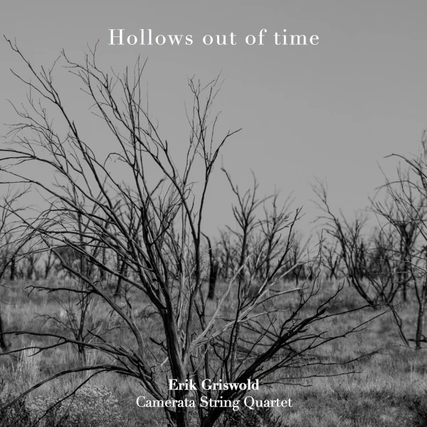 Hollows out of Time Cover art