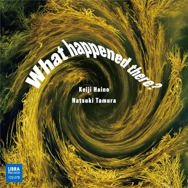 Keiji Haino / Natsuki Tamura — What Happened There?