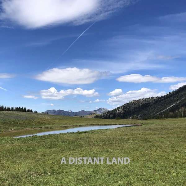 Rich Halley 4 &mdash; A Distant Land