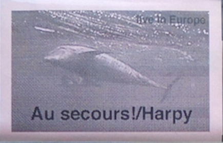 Harpy — Au Secours!