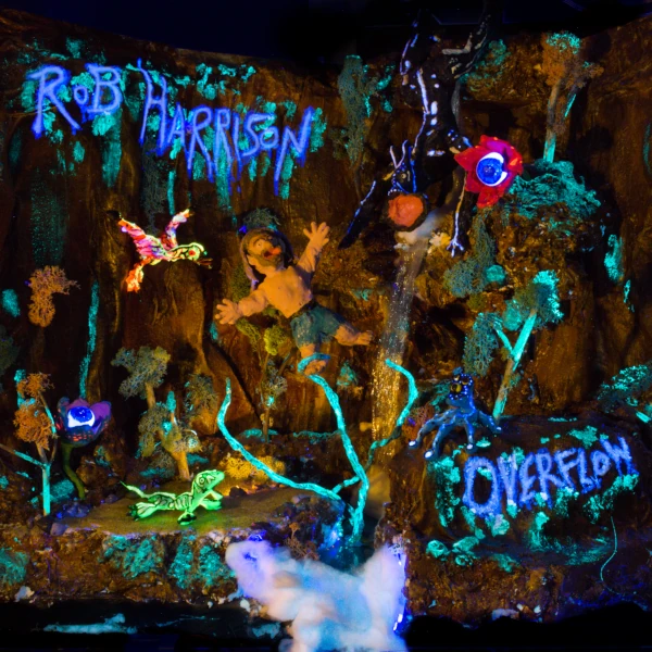 Rob Harrison &mdash; Overflow