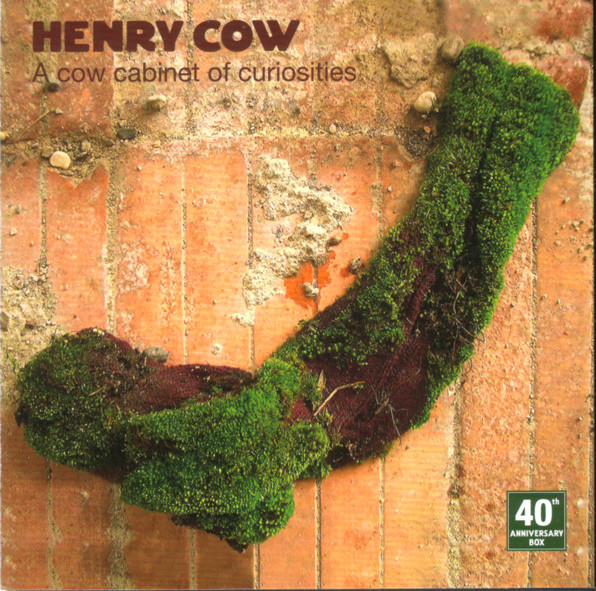 Henry Cow — A Cow Cabinet of Curiosities