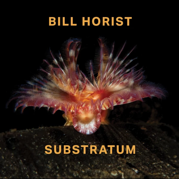 Bill Horist — Substratum