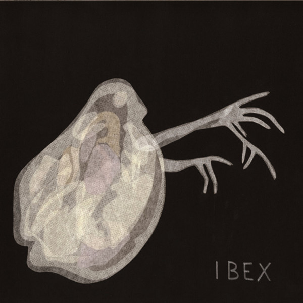 Ibex — Parthenogenesis