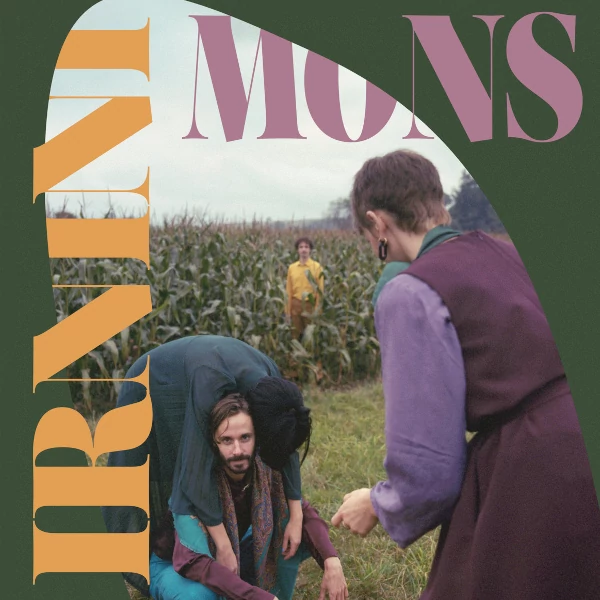 Irnini Mons — Irnini Mons