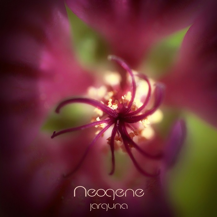 Neogene Cover art