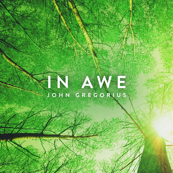 In Awe Cover art