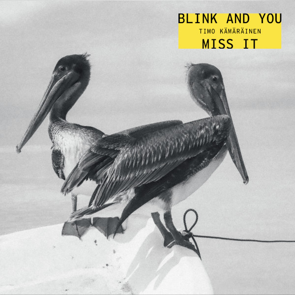 Timo Kämäräinen — Blink and You Miss It