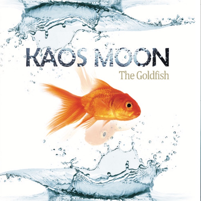 The Goldfish Cover art