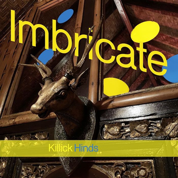 Imbricate Cover art