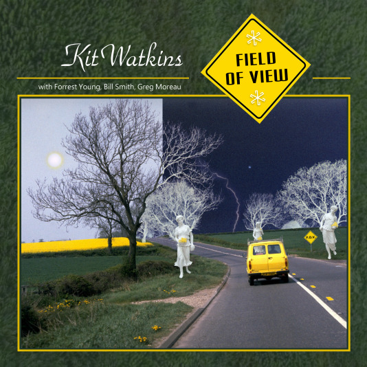 Field of View Cover art