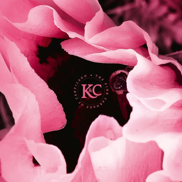 Kolman & Calvert &mdash; The Pink Carnage of Cartilago