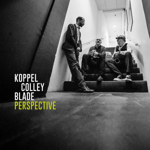 Perspective Cover art
