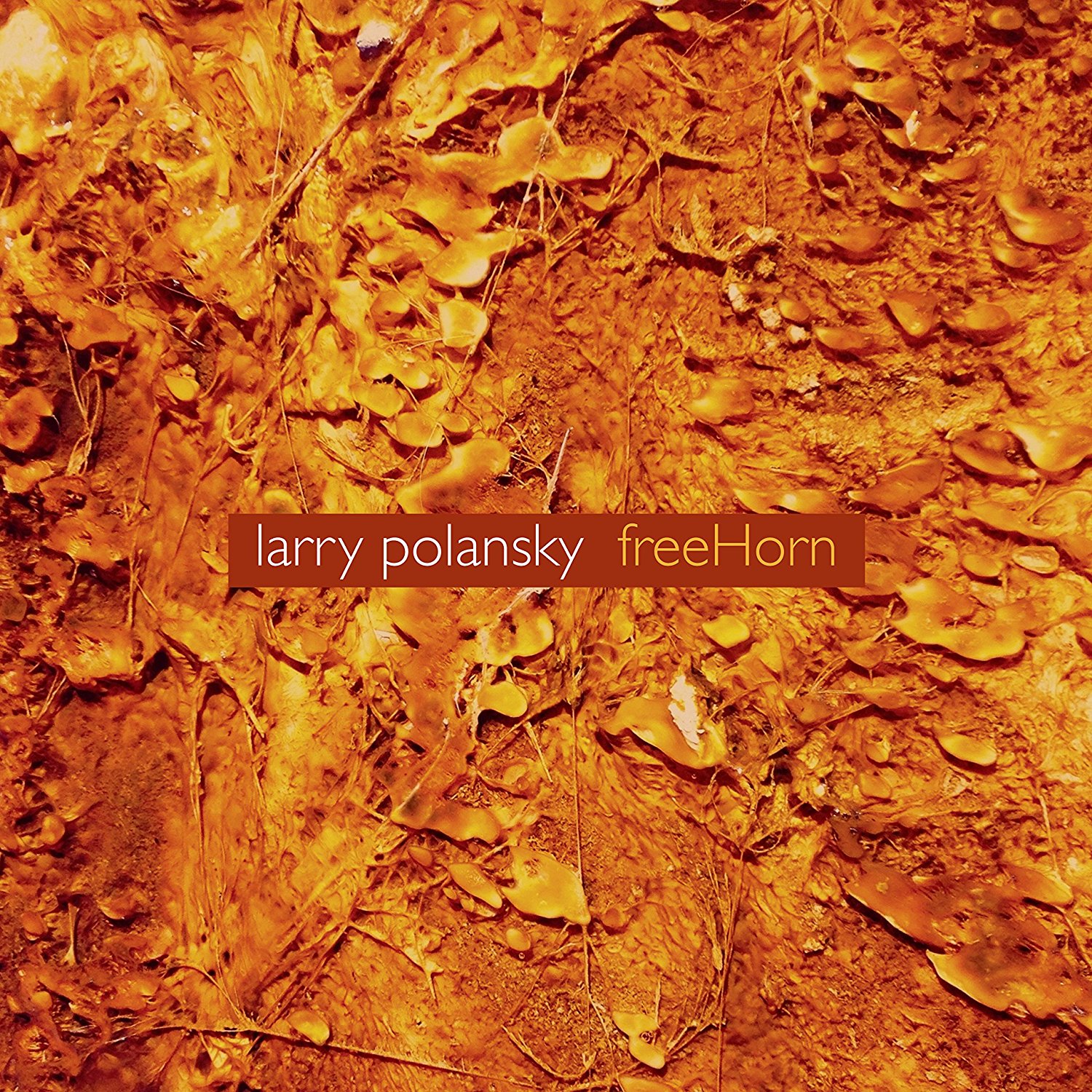 Larry Polansky — FreeHorn