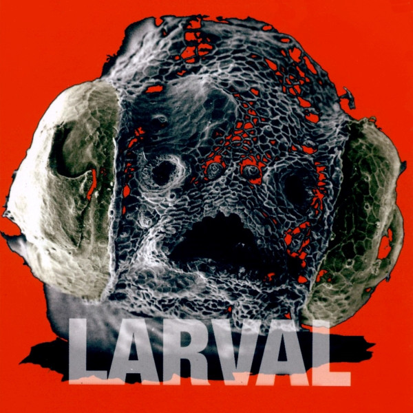 Larval — Larval