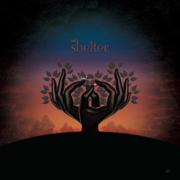 Laughing Stock — Shelter