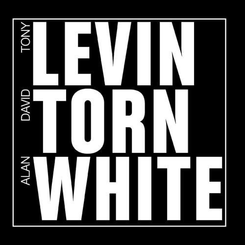 Levin Torn White Cover art