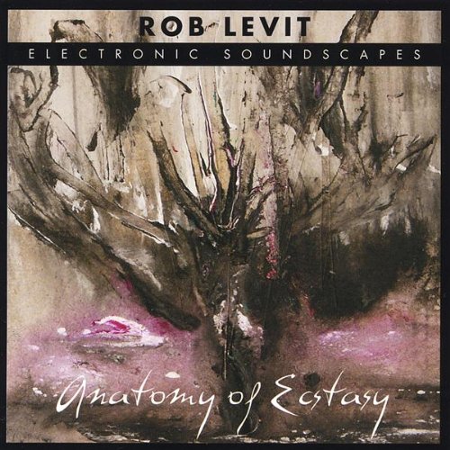 Rob Levit — Anatomy of Ecstacy