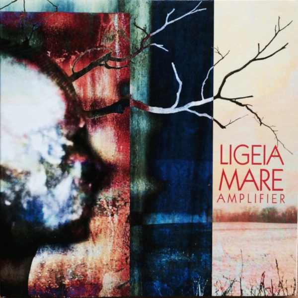 Ligeia Mare — Amplifier