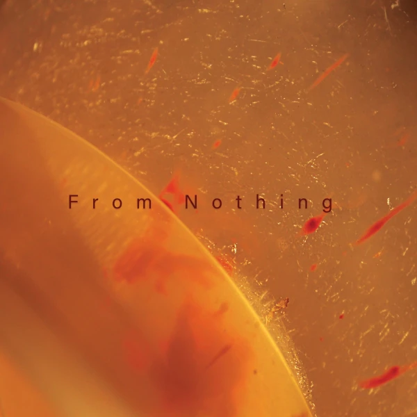 Daniel Reyes Llinás &mdash; From Nothing