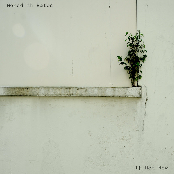 Meredith Bates — If Not Now