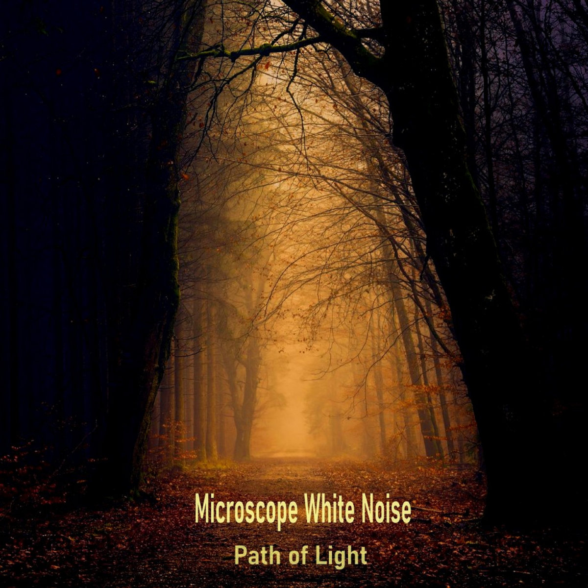 Microscopic White Noise — Path of Light