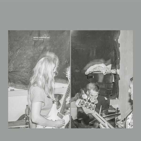 Hedvig Mollestad Trio — Smells Funny