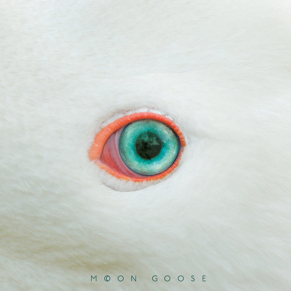 Moon Goose — Source Code