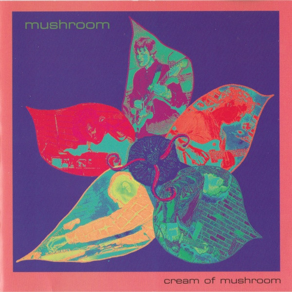 Mushroom — Cream of Mushroom
