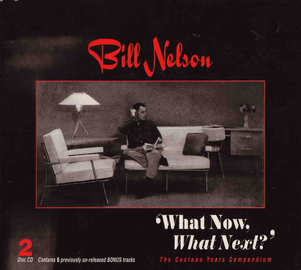 Bill Nelson — What Now, What Next