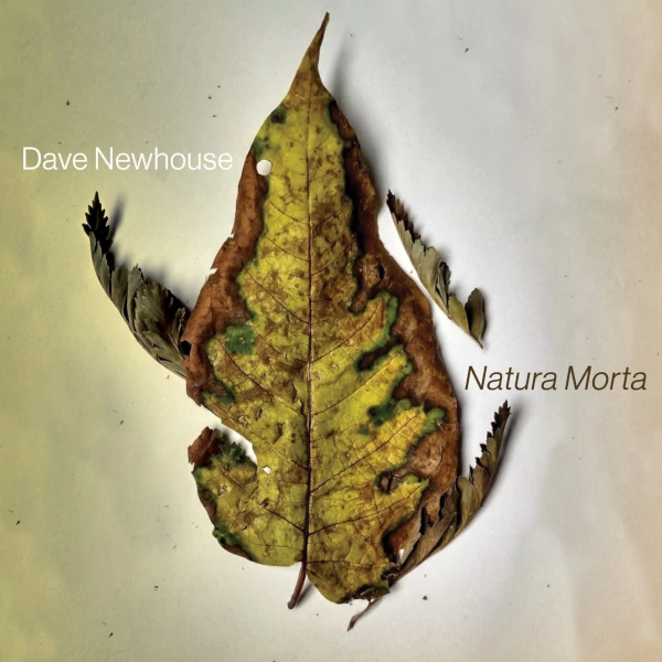 Dave Newhouse — Natura Morta