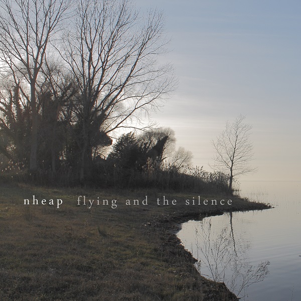 Flying and the Silence Cover art