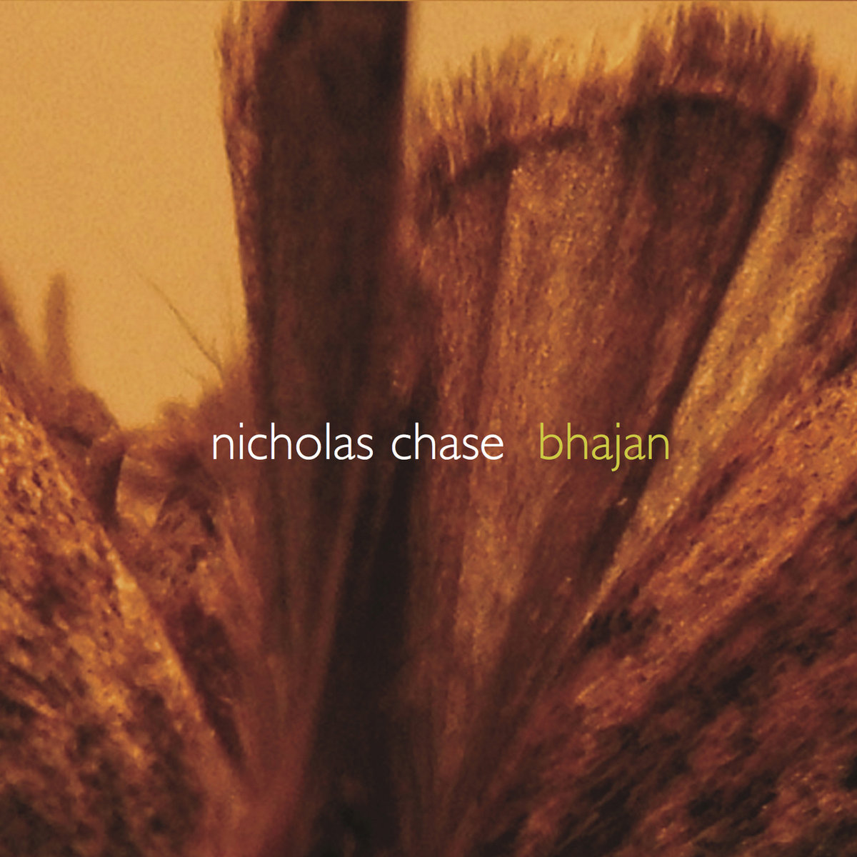 Nicholas Chase — Bhajan