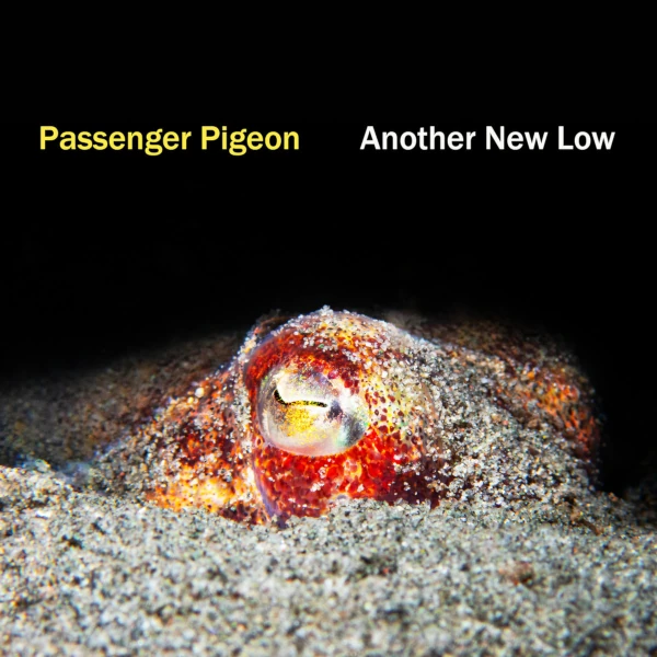 Passenger Pigeon &mdash; Another New Low