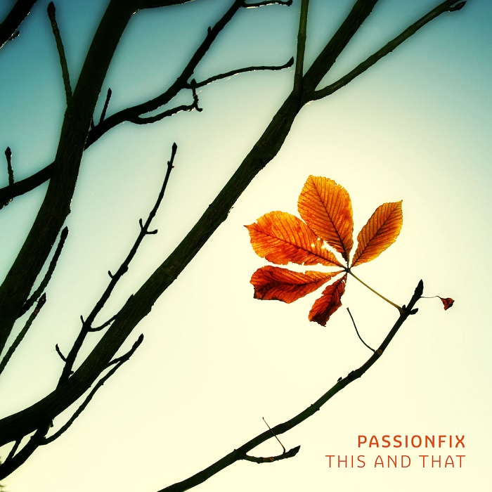 Passionfix — This and That