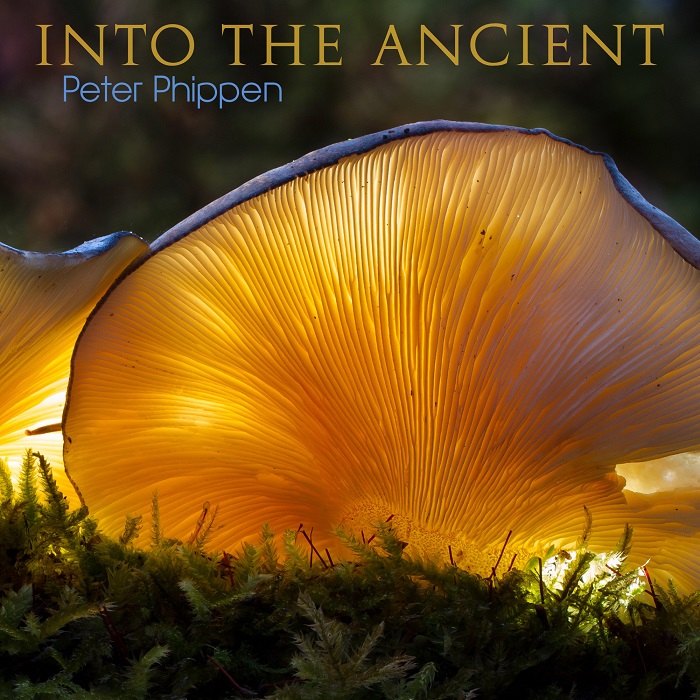 Peter Phippen — Into the Ancient