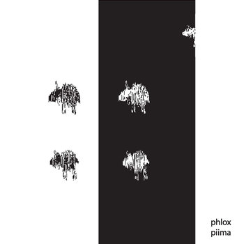 Phlox — Piima