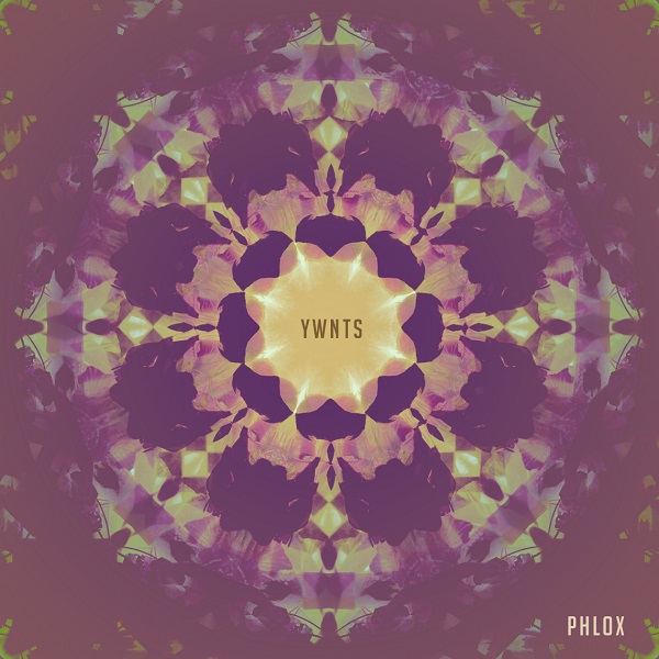 Phlox — YWNTS