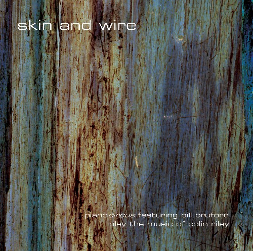 Skin and Wire Cover art