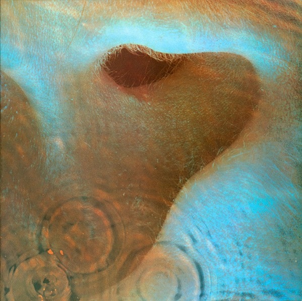 Pink Floyd Meddle cover art