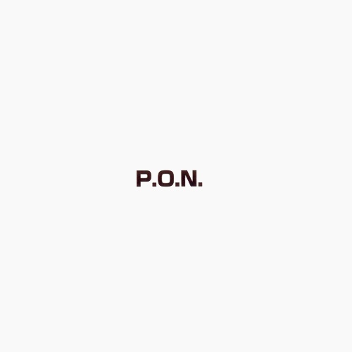 P.O.N. — P.O.N.