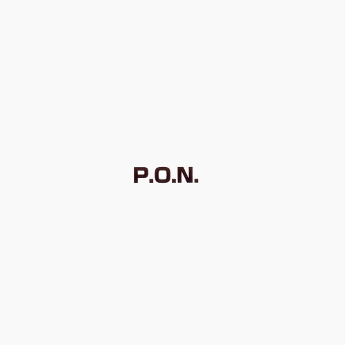 P.O.N. Cover art