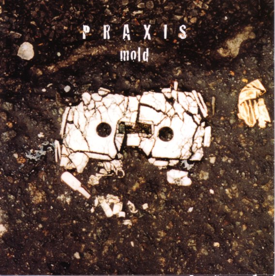 Praxis — Mold