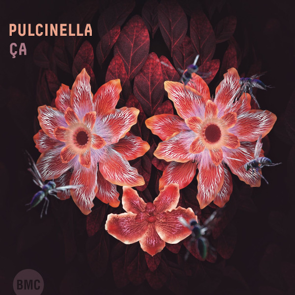Pulcinella — Ça