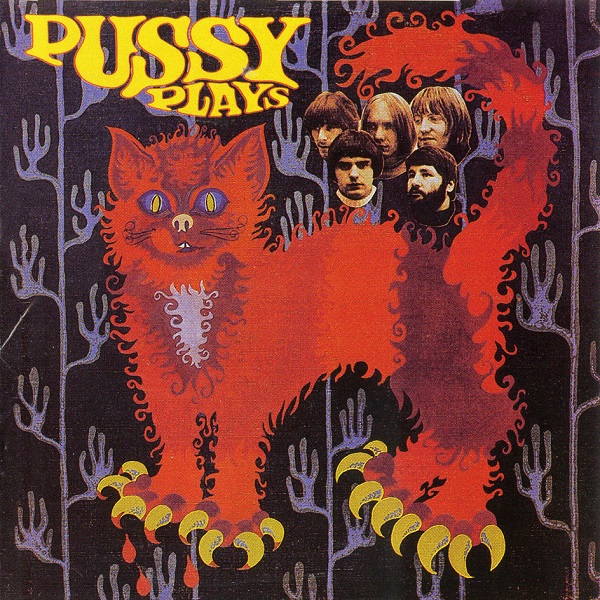 Pussy - Pussy Plays cover