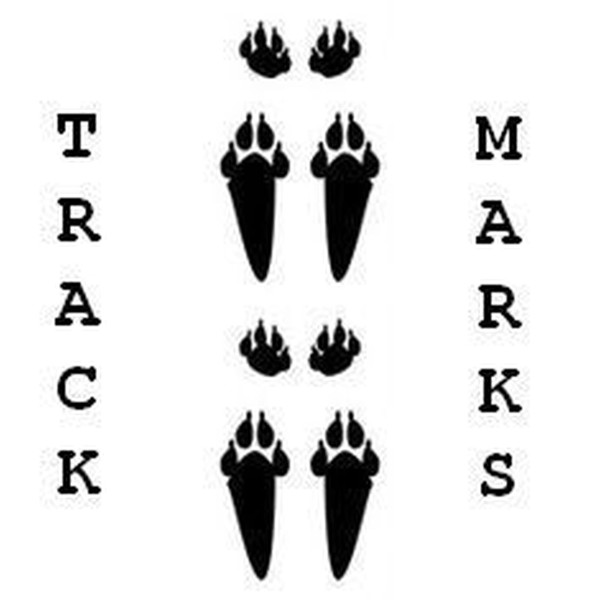 Ashley Reaks — Track Marks