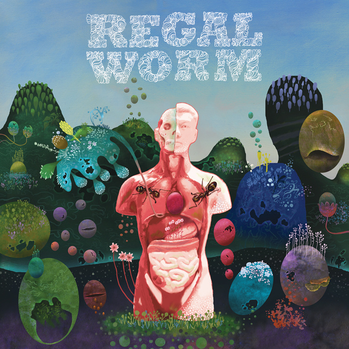 Regal Worm — Use and Ornament