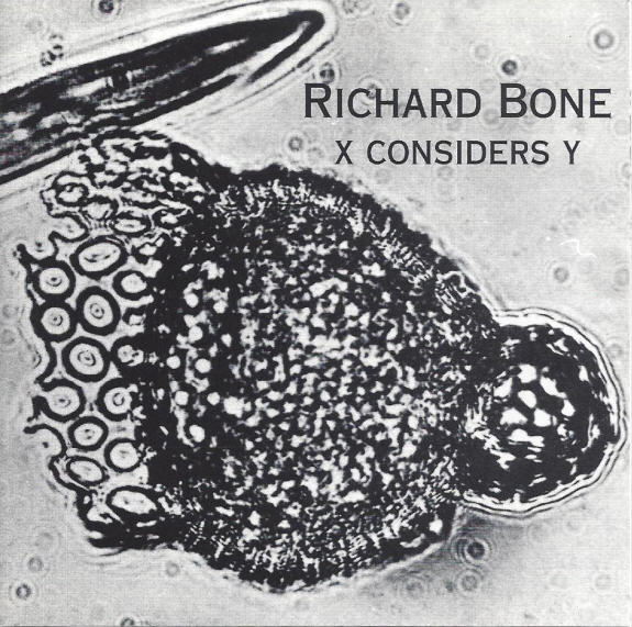 Richard Bone — X Considers Y