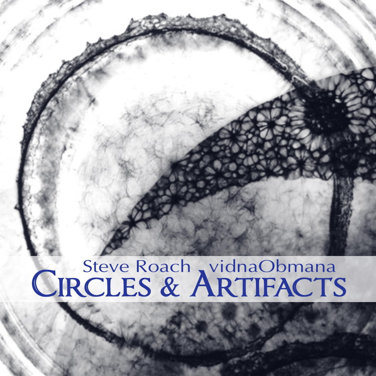 Steve Roach / vidnaObmana — Circles & Artifacts